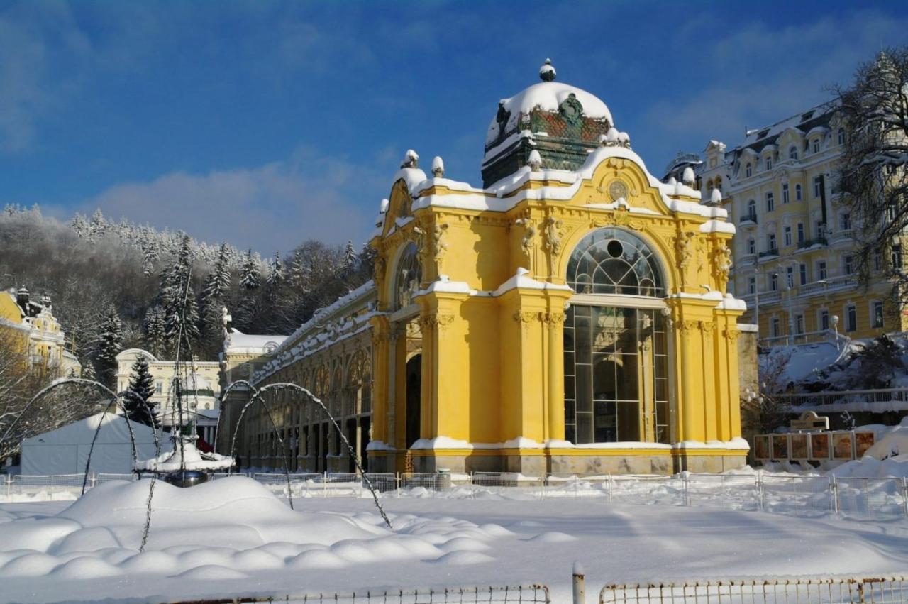Maxim Готель